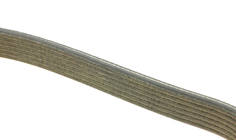 Фото 2 - Ремінь приводний DAYCO 6PK1029EE