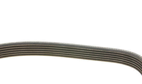 Фото 3 - Ремень приводной DAYCO 6PK1059