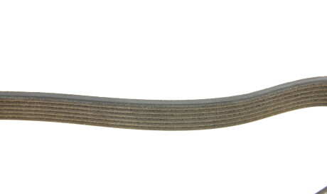 Фото 3 - Ремень приводной DAYCO 6PK1059EE