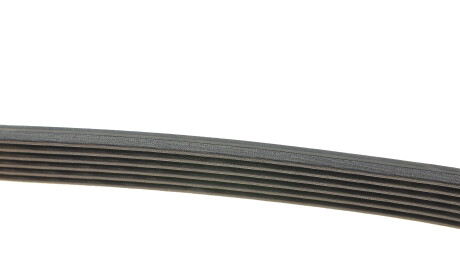 Фото 2 - Ремень приводной DAYCO 6PK1100