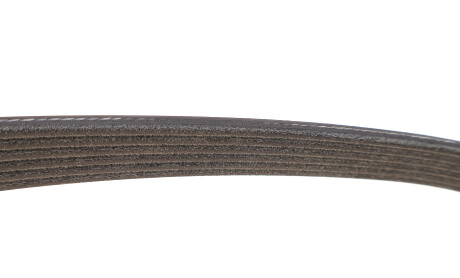 Фото 4 - Ремінь приводний DAYCO 6PK1100S