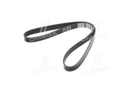 Фото 4 - Автозапчасть DAYCO 6PK1117S