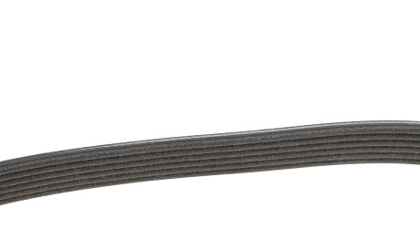 Фото 3 - Ремень приводной DAYCO 6PK1120HD