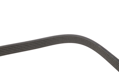 Фото 4 - Автозапчасть DAYCO 6PK1120S