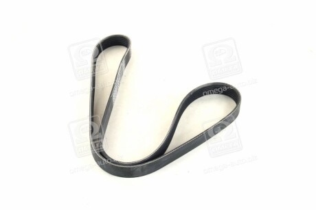 Фото 2 - Ремень приводной DAYCO 6PK1141