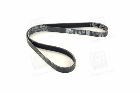 Фото 3 - Ремень приводной DAYCO 6PK1141