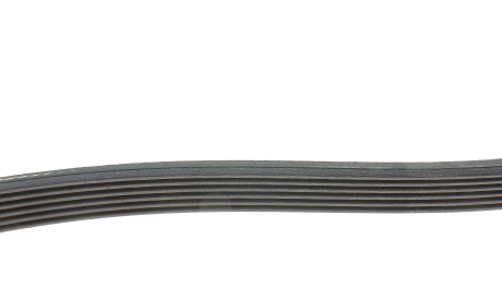 Фото 2 - Ремень приводной DAYCO 6PK1145