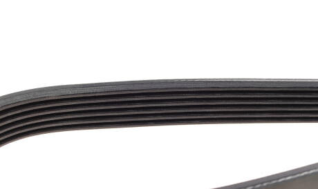 Фото 3 - Ремінь приводний DAYCO 6PK1165