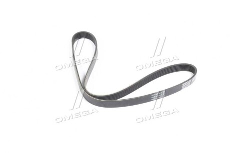 Фото 2 - Ремень приводной DAYCO 6PK1190K