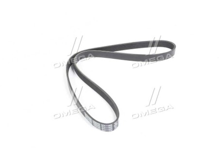 Фото 3 - Ремень приводной DAYCO 6PK1190K