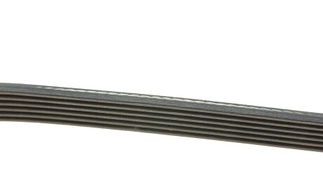 Фото 2 - Ремінь приводний DAYCO 6PK1217