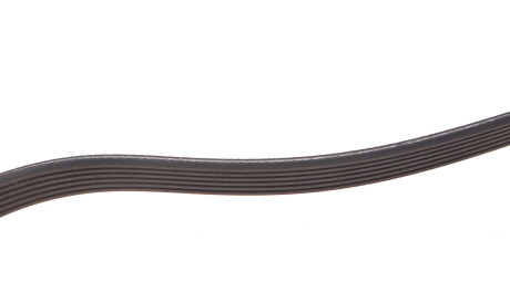 Фото 3 - Ремень приводной DAYCO 6PK1245DT