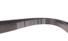 Ремень приводной DAYCO 6PK1245DT - фото 4