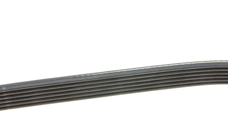 Фото 3 - Ремень приводной DAYCO 6PK1250