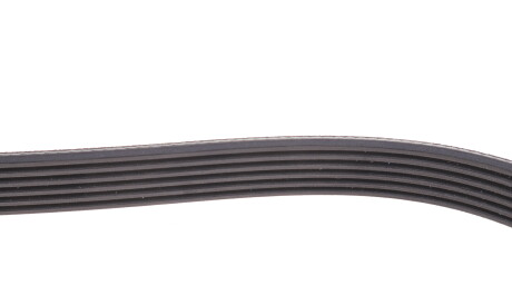 Фото 3 - Ремень приводной DAYCO 6PK1250HD