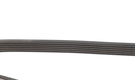 Фото 3 - Ремінь приводний DAYCO 6PK1255