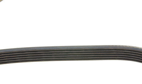 Фото 3 - Ремень приводной DAYCO 6PK1264