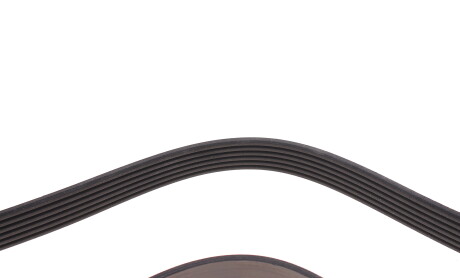 Фото 6 - Ремінь приводний DAYCO 6PK1300