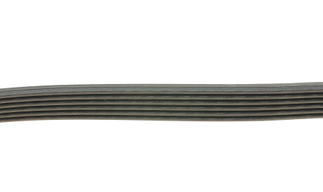 Фото 2 - Ремень приводной DAYCO 6PK1310