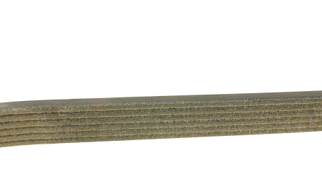 Фото 2 - Ремінь приводний DAYCO 6PK1323S