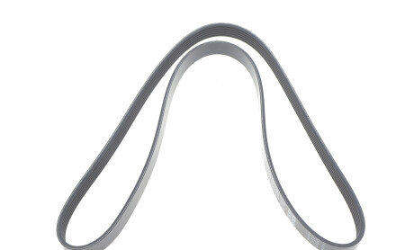 Фото 3 - Ремень приводной DAYCO 6PK1341