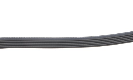 Фото 5 - Ремень приводной DAYCO 6PK1341