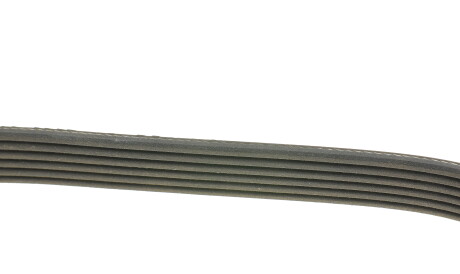 Фото 2 - Ремень приводной DAYCO 6PK1352