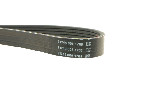 Фото 3 - Ремень приводной DAYCO 6PK1355