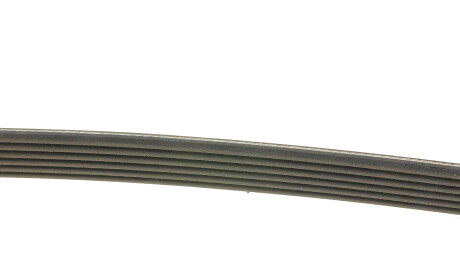 Фото 2 - Ремень приводной DAYCO 6PK1365