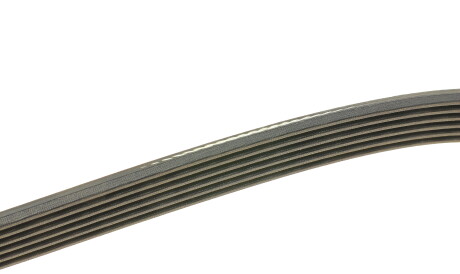 Фото 2 - Ремінь приводний DAYCO 6PK1381