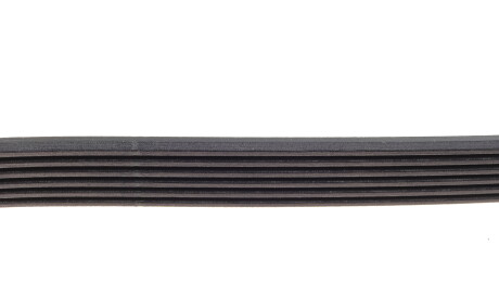 Фото 3 - Ремень приводной DAYCO 6PK1388