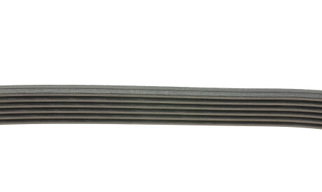 Фото 2 - Ремінь приводний DAYCO 6PK1437