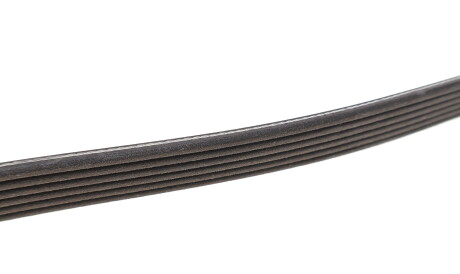 Фото 2 - Ремень приводной DAYCO 6PK1450