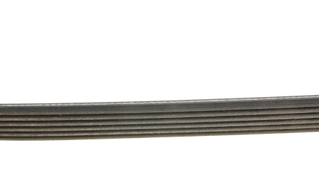 Фото 3 - Ремень приводной DAYCO 6PK1460