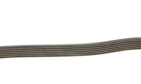 Фото 3 - Ремінь приводний DAYCO 6PK1468HD