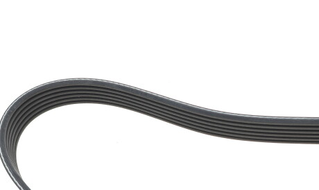 Фото 3 - Ремень приводной DAYCO 6PK1485