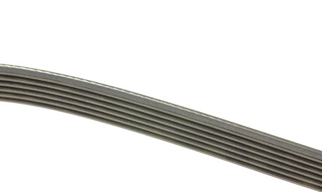 Фото 2 - Ремень приводной DAYCO 6PK1510