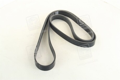 Фото 2 - Ремінь приводний DAYCO 6PK1515S