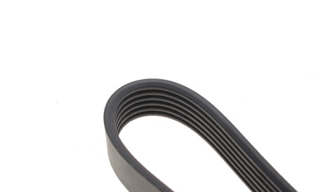 Фото 3 - Ремень приводной DAYCO 6PK1538