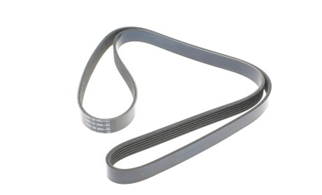 Фото 5 - Ремінь приводний DAYCO 6PK1555S