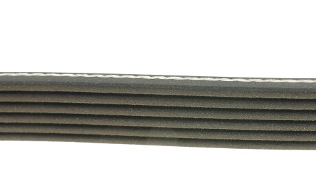 Фото 2 - Ремінь приводний DAYCO 6PK1558