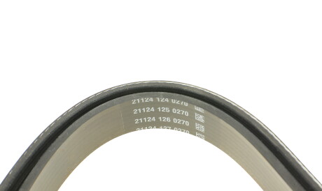 Фото 3 - Ремінь приводний DAYCO 6PK1558