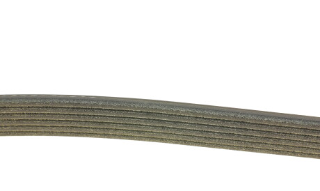 Фото 2 - Ремінь приводний DAYCO 6PK1580S