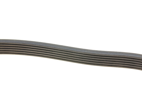 Фото 3 - Ремень приводной DAYCO 6PK1588