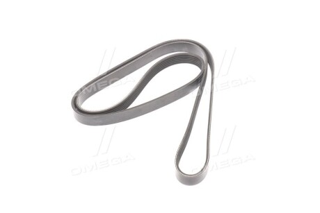 Фото 4 - Ремінь приводний DAYCO 6PK1606