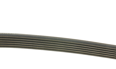 Фото 2 - Ремінь приводний DAYCO 6PK1613