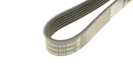 Фото 3 - Ремінь приводний DAYCO 6PK1613