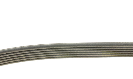 Фото 2 - Ремінь приводний DAYCO 6PK1660