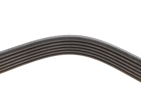 Фото 4 - Ремінь приводний DAYCO 6PK1670