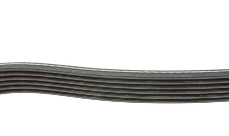 Фото 2 - Ремінь приводний DAYCO 6PK1705